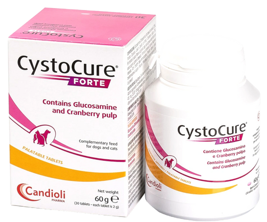 Cystocure Forte Tab 30 Tab