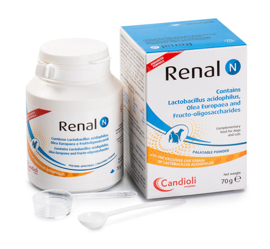 Renal-N Powder 70Gm
