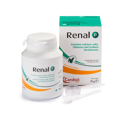 Renal-P Powder 70Gm