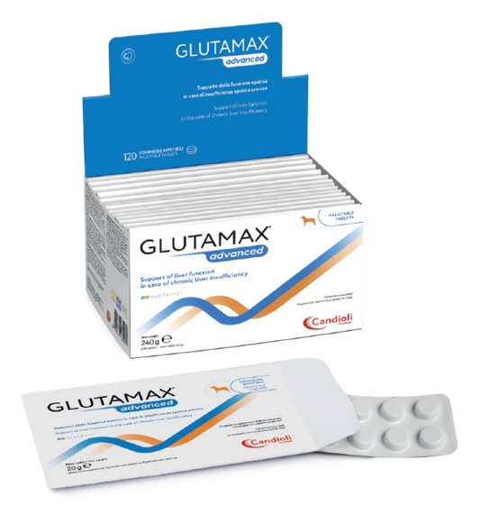 Glutamax Advanced 10 Tabs