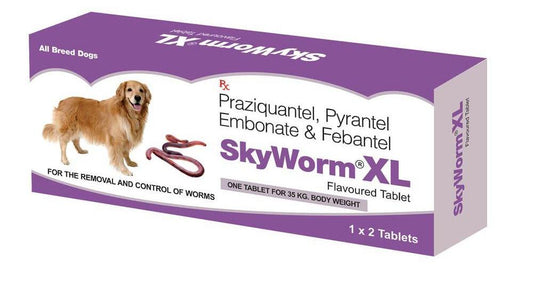 SKY WORM XL TAB 2 TAB