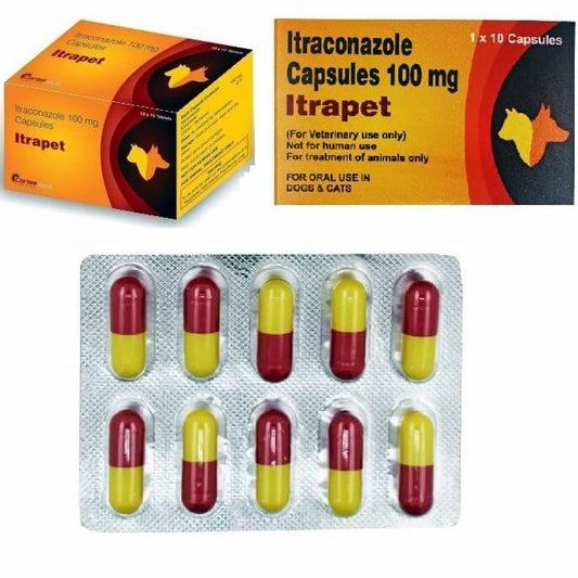 ITRAPET TAB 100MG 10 TAB