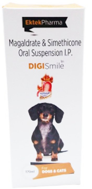 DIGISMILE PET SUSP 170ML