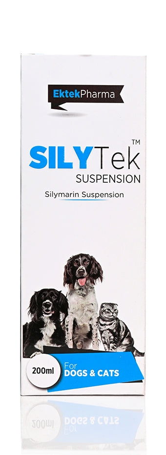 SILYTEK SUSP 200ML