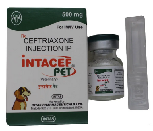 INTACEF PET 500MG INJ