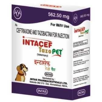 INTACEF-TAZO PET 562.50MG