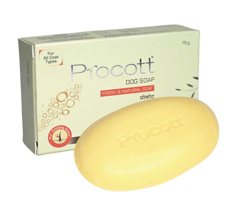 PROCOTT SOAP 75GM