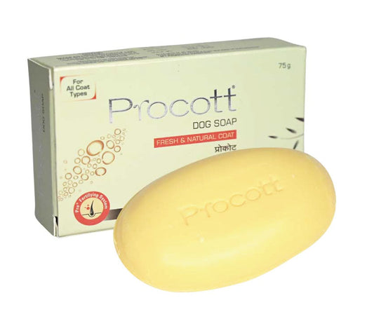 PROCOTT SOAP 75GM