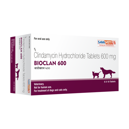 BIOCLAN TAB 600MG 10 TAB