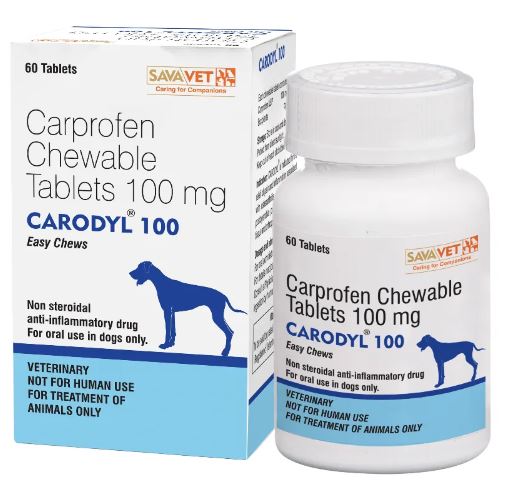 CARODYL 100MG 30S TAB