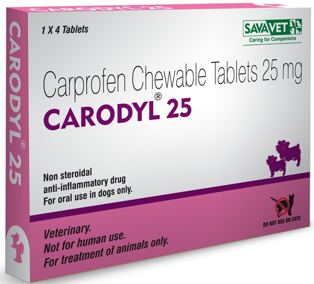 CARODYL 25MG TAB 10 TAB