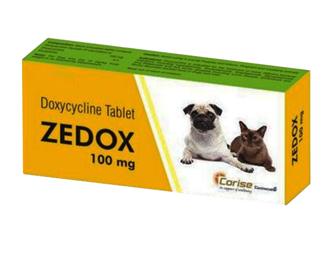 ZEDOX 100MG TAB 10 TAB