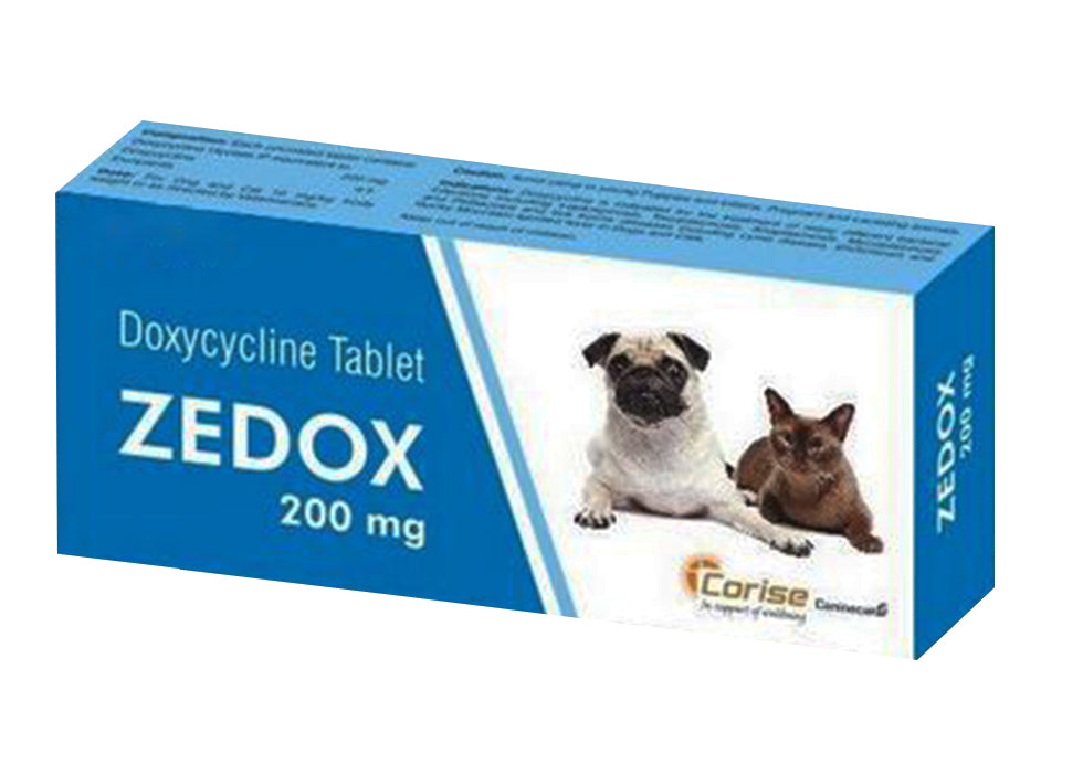 ZEDOX 200MG TAB 10 TAB