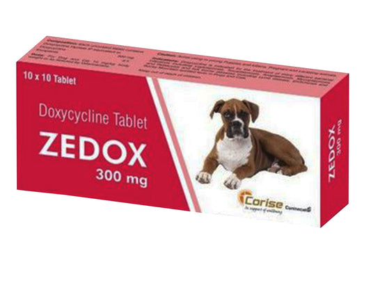 ZEDOX 300MG TAB 10 TAB