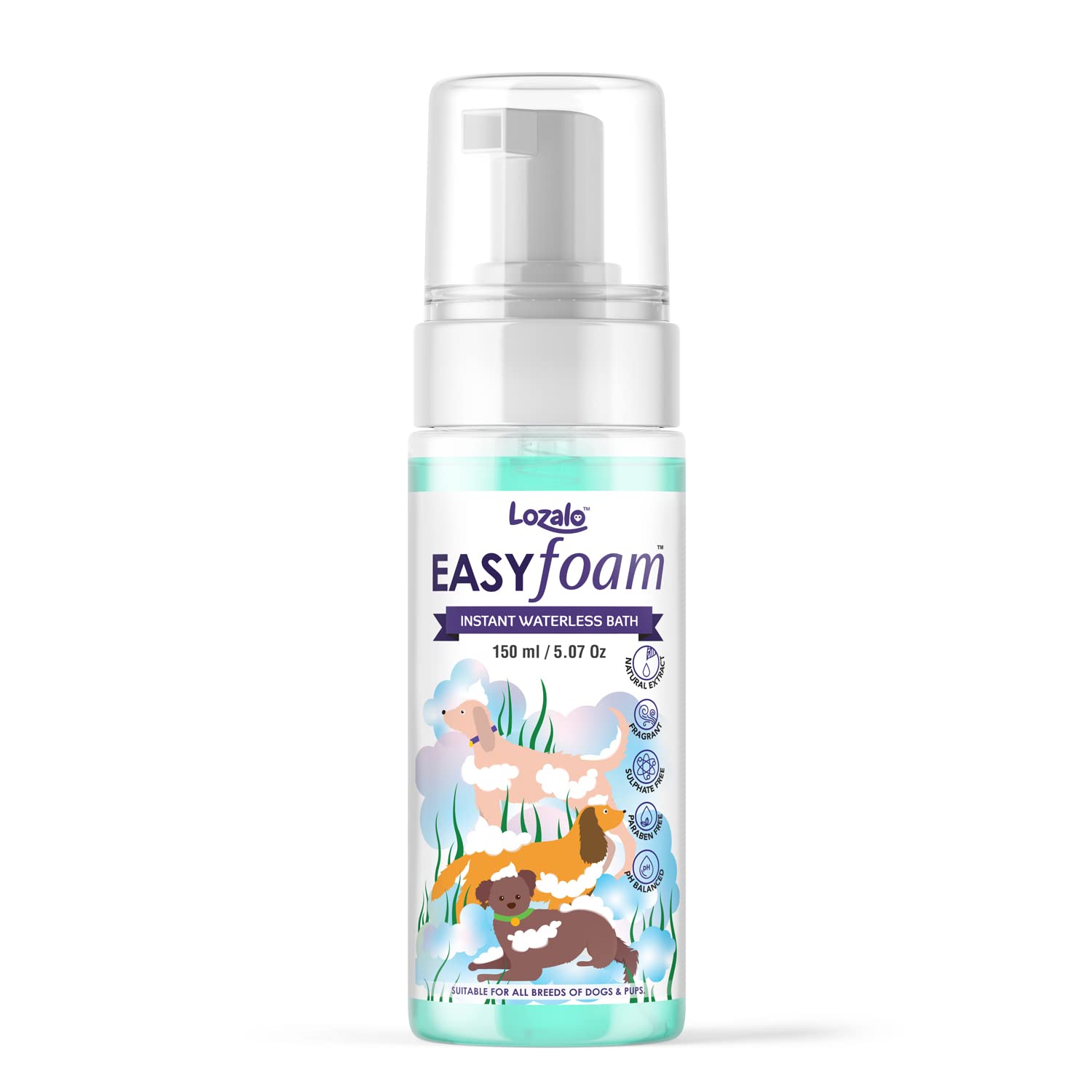 LO EASY FOAM WATERLESS SHAMPOO