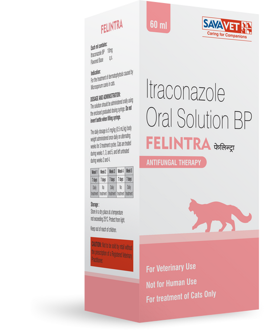 FELINTRA ORAL SOLU CAT 60ML