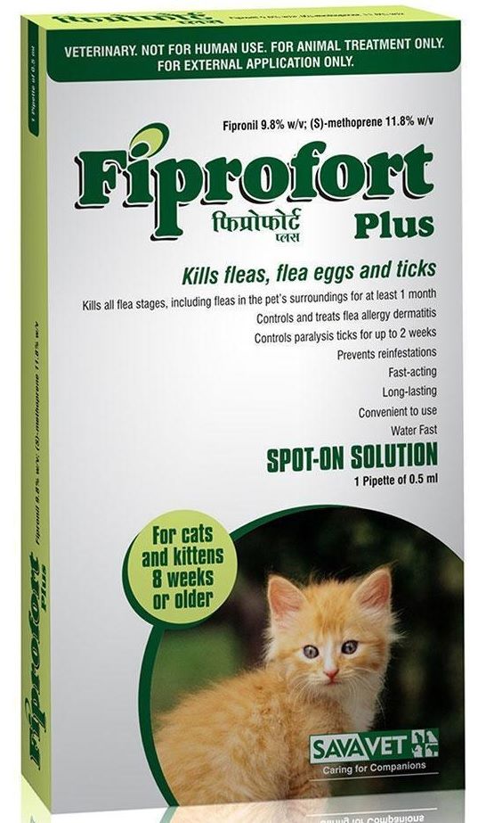 FIPROFORT PLUS CAT&KITTEN 8WEEKS OLD