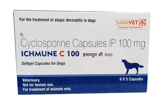 ICHMUNE C TAB 100MG 6 TAB