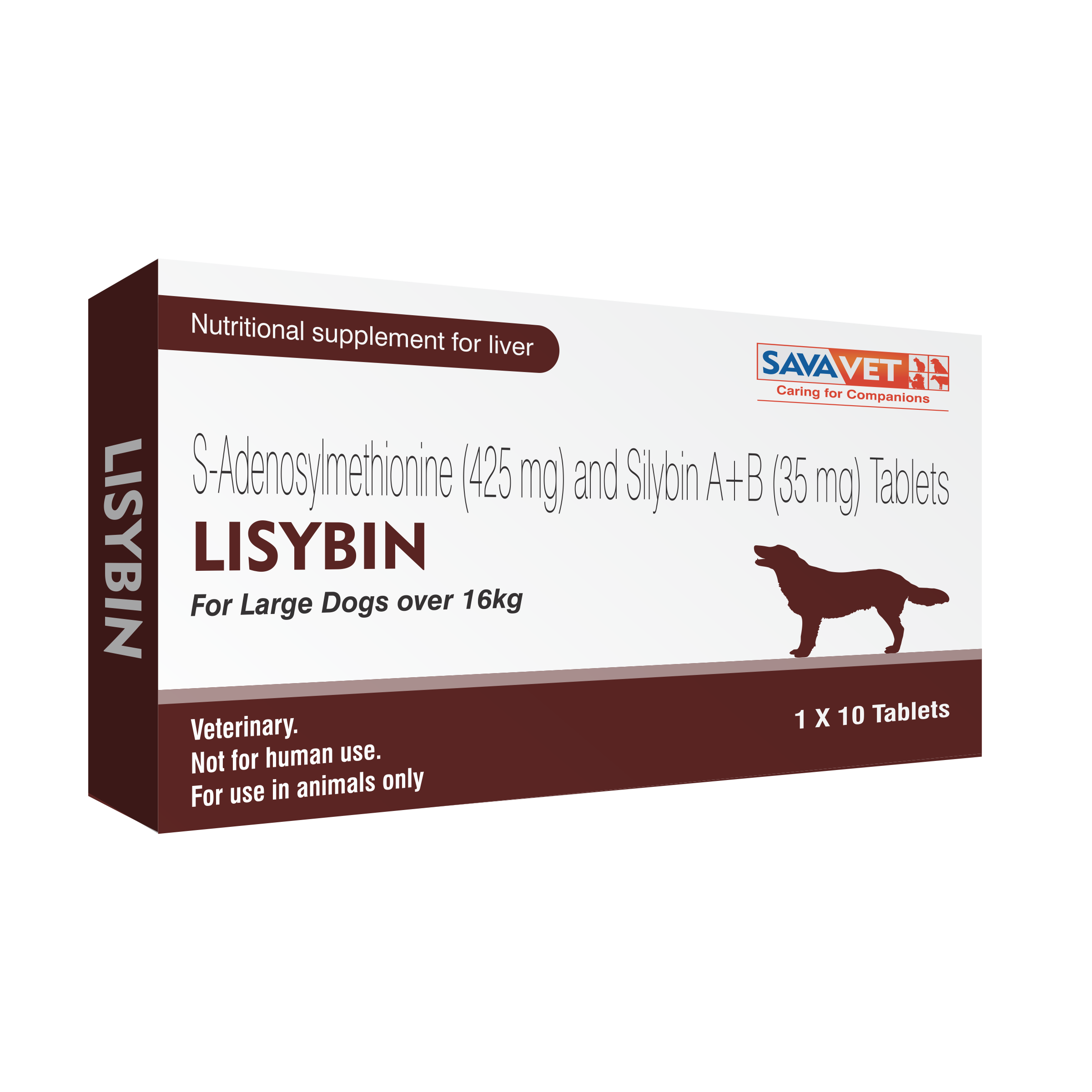 LISYBIN FOR LARGE DOGS 10 TAB OVER 16KG