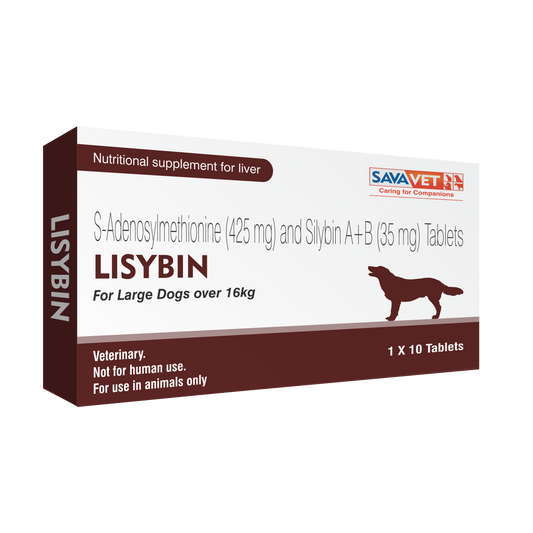LISYBIN FOR LARGE DOGS 10 TAB OVER 16KG
