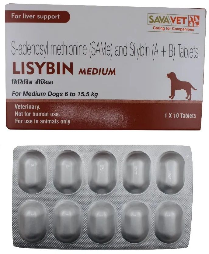 LISYBIN MEDIUM 6KG TO 15.5KG