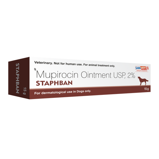STAPHBAN OINTMENT 15GM