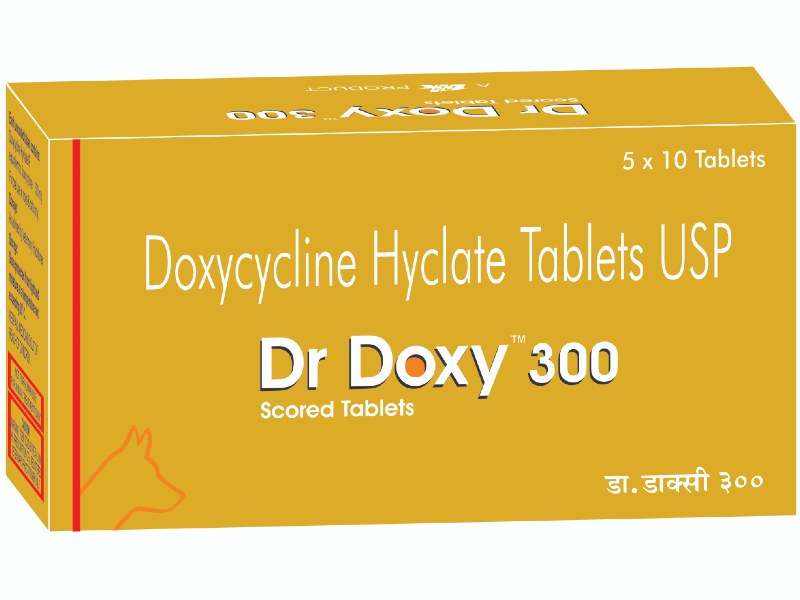DR DOXY 300MG TAB 10 TAB