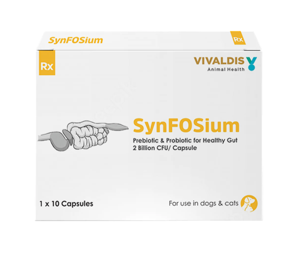 SYNFOSIUM CAPSULE 10 TAB