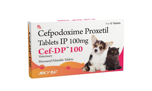 CEF-DP 100MG 10 TAB