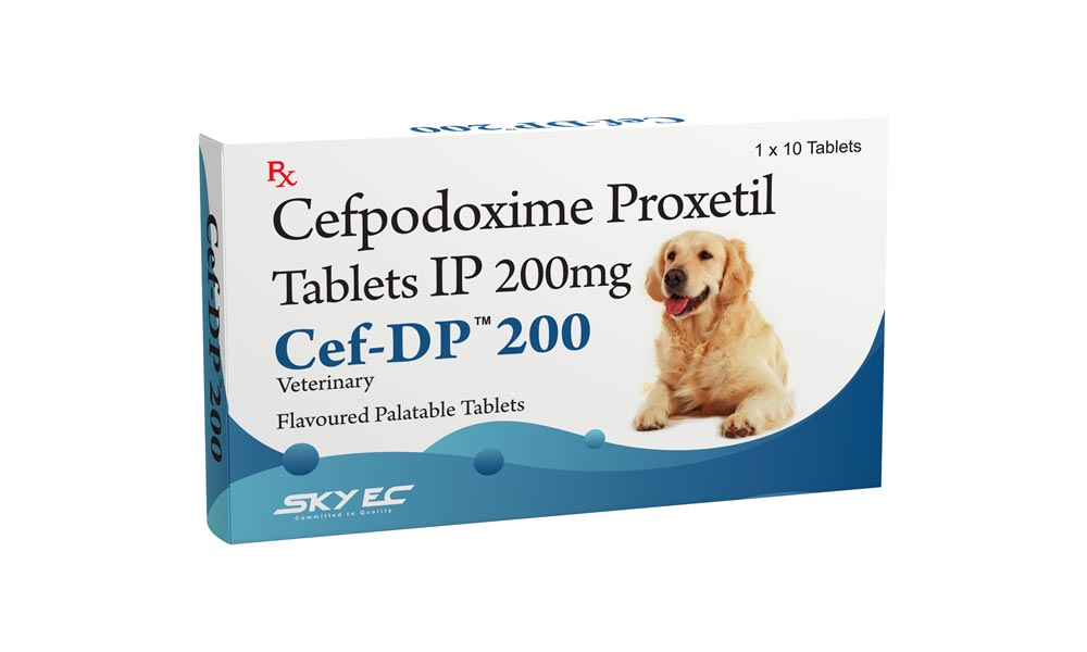 CEF-DP 200MG 10 TAB