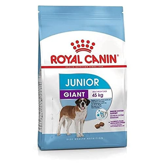 Royal Canin Giant Junior