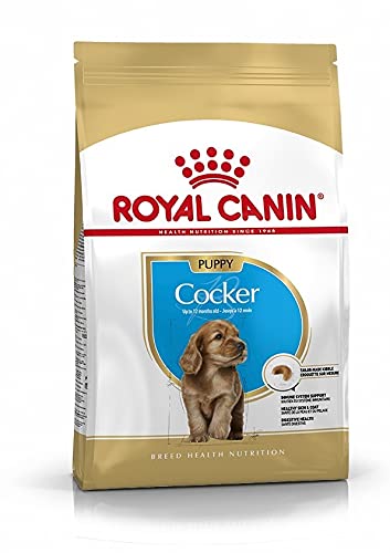 Royal Canin Cocker Puppy