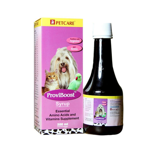 PROVIBOOST SYRUP 200 ML