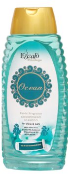 LO OCEAN CON SHAMPOO 250ML