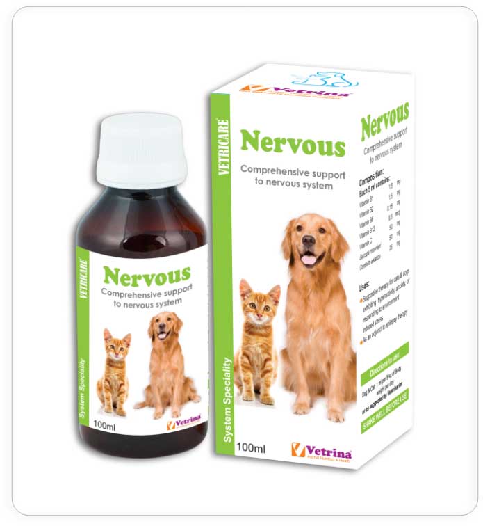 NERVOUS SYRUP 100ML