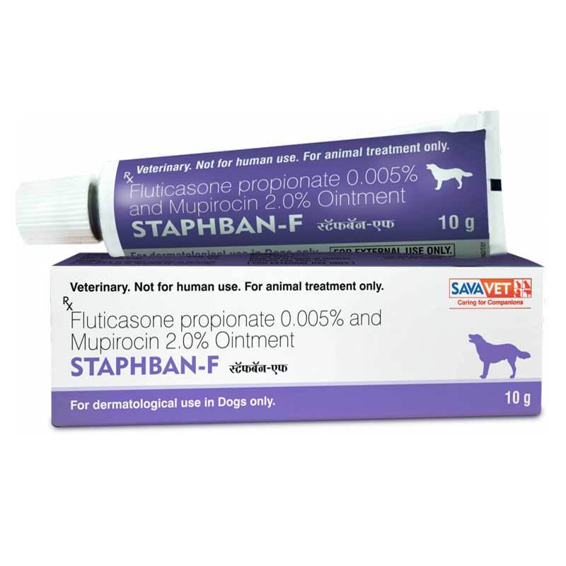 STAPHBAN-F OINTMENT 10GM