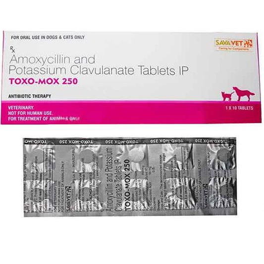TOXO MOX 250MG 10 TAB