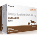 BIOCLAN TAB 300MG 10 TAB