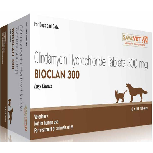 BIOCLAN TAB 300MG 10 TAB