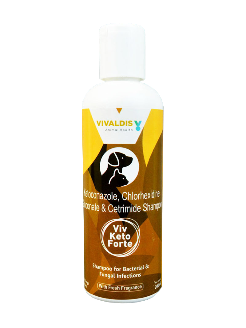 VIV KETO FORTE SHAMPOO 200ML