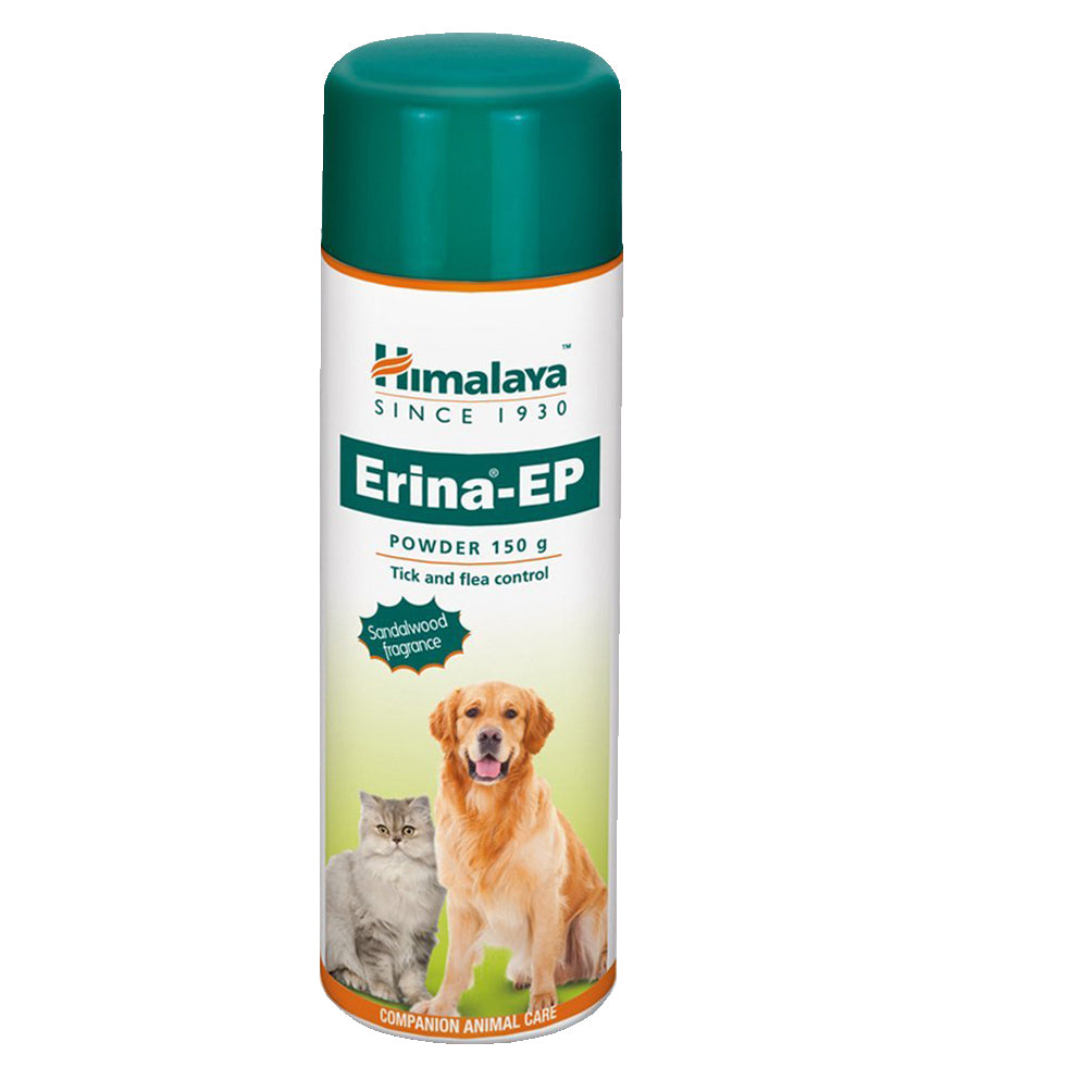 ERINA EP POWDER