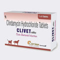 CLIVET 300MG TAB 10 TAB