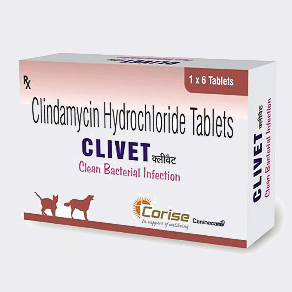 CLIVET 300MG TAB 10 TAB