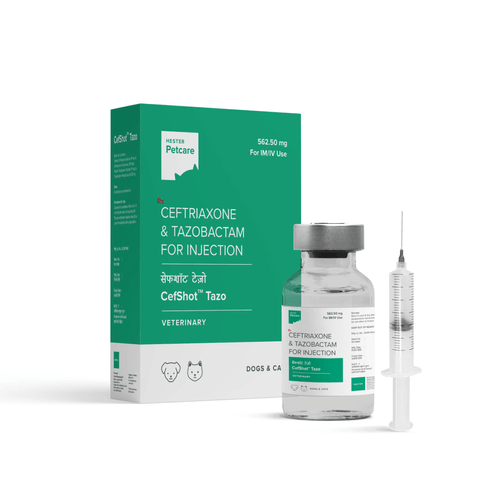 CEFSHOT TAZO 562.5MG INJ