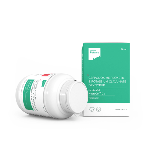 HESTACEF CV 30ML