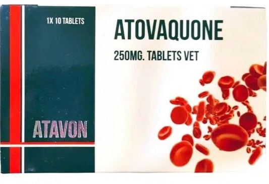 ATOVAQUIN TAB 250MG 10 TAB