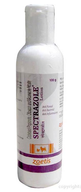SPECTRAZOLE LOTION 100ML