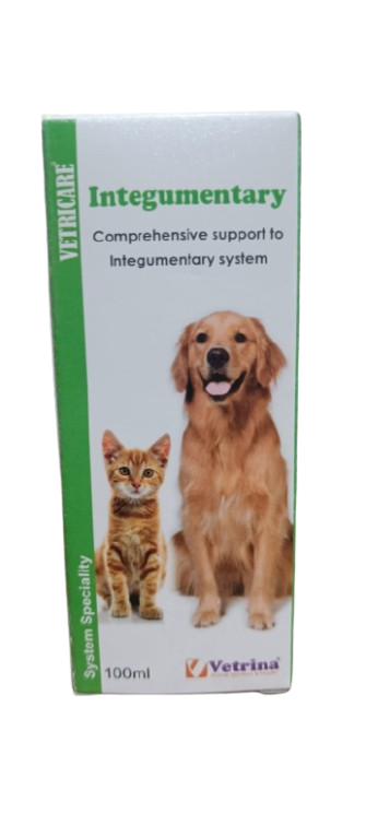 INTIGUMENTARY SYRUP 100ML