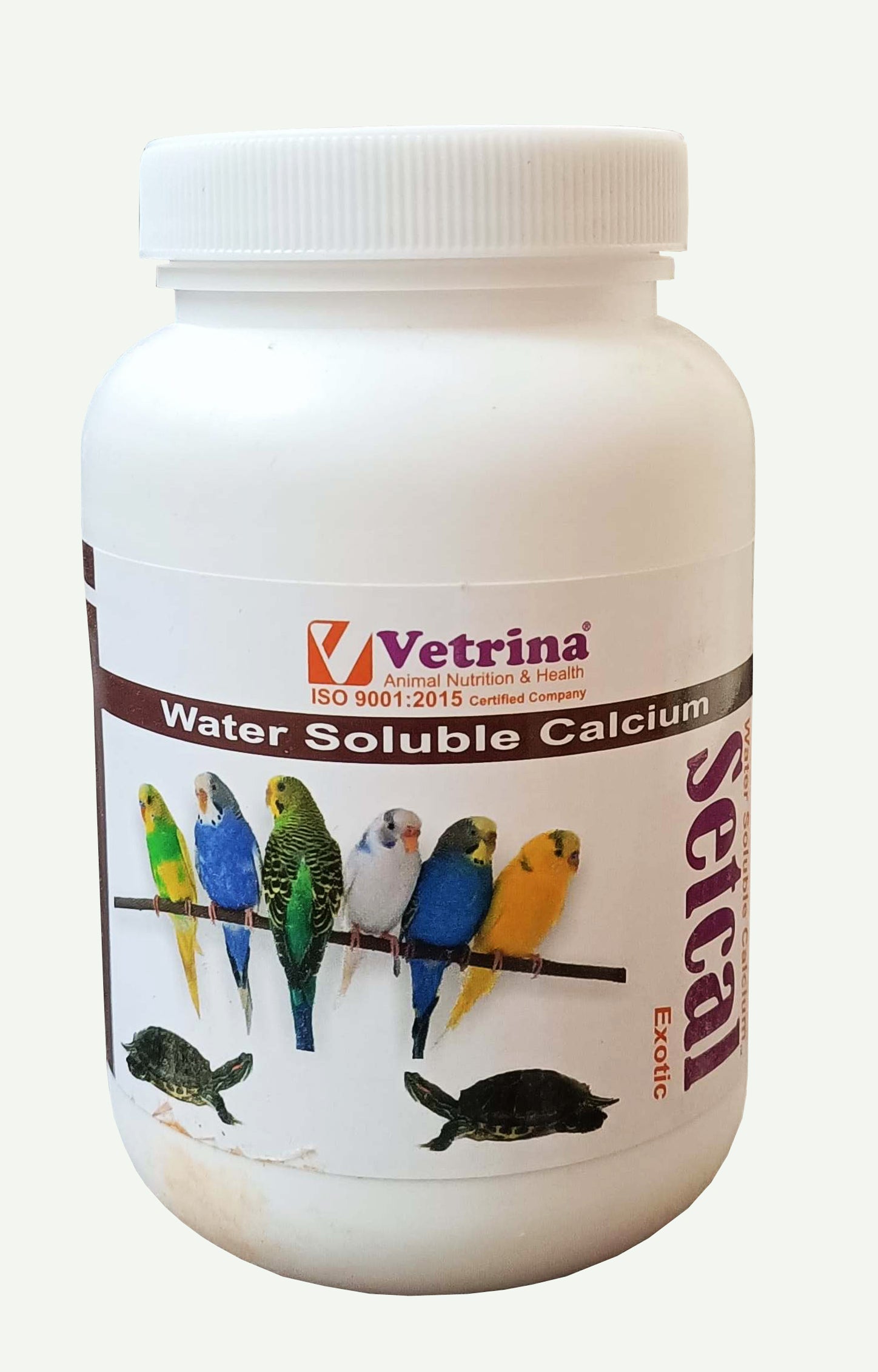 SETCAL EXOTIC POWDER 125GM