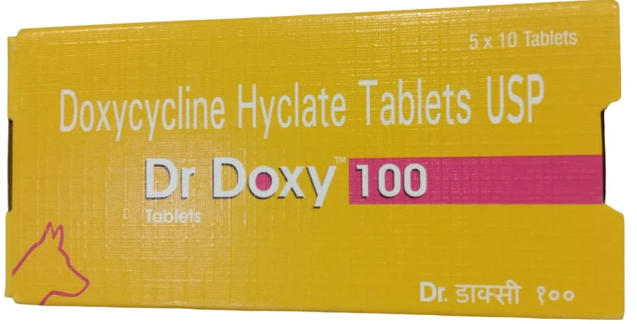 DR DOXY 100MG TAB 10 TAB